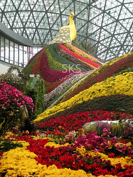 2015昆明旅游房间,昆明自助游_周边游密室,昆攻略逃脱八个攻略攻略图片