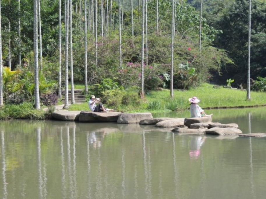2015呀诺达雨林景区_旅游攻略_门票_地址_游