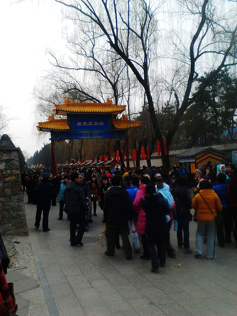 2014年春节西藏旅游自由行实用攻略_拉萨旅游攻略