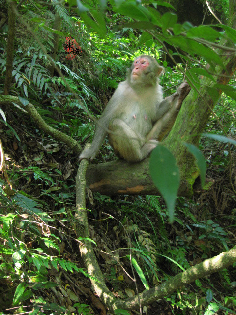 国庆假期湖南游_长沙旅游攻略_自助游攻略_去