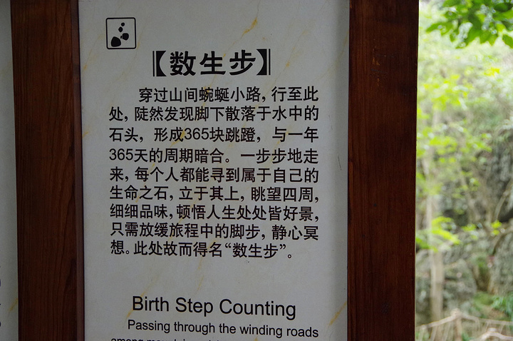 景区里人气最旺的一个,就算现在已经到了11月,人
