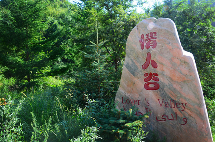 宁夏火石寨国家地质公园位于位于陕甘宁三省几何中心,西吉县城以北15