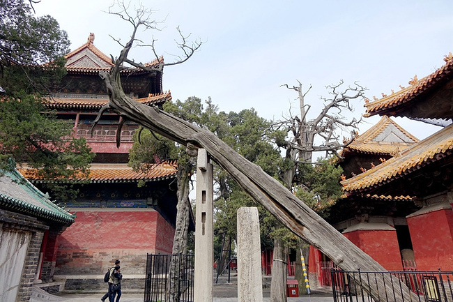 2015山东行_德州旅游攻略
