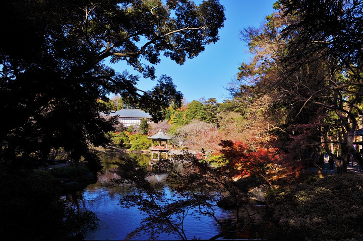 成田山新胜寺