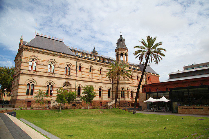 2016南澳大利亚博物馆就在美术馆旁边,实在太