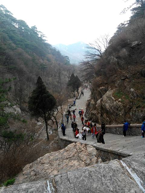 785114665de4d0.jpg_r_480x640x70_24d01718.jpg
