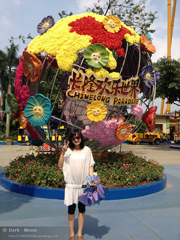 2015景点类型:公园最佳季节:四季皆._长隆欢乐