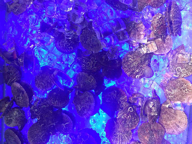 多伦多海鲜自助团购_庐江金孔雀_金孔雀海鲜自助团购(4)