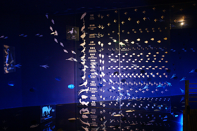 泰州凤凰城两日游_泰州旅游攻略