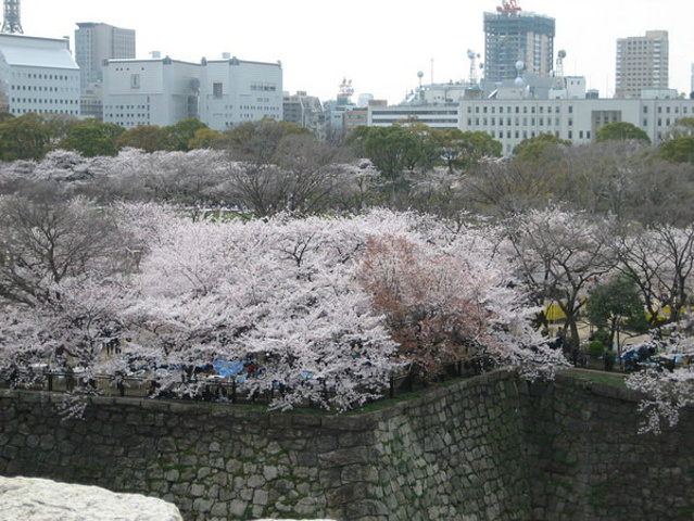 2015.日本战国时代枭雄的最佳地点_大阪城公