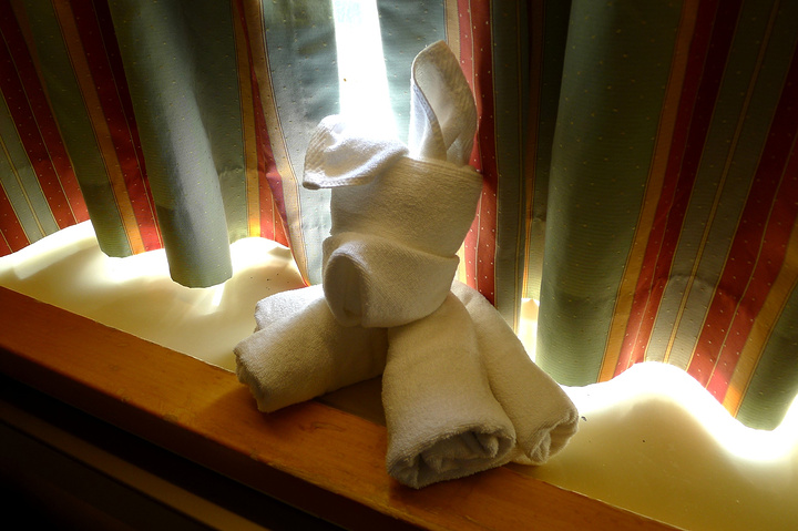 客房部经常都会用毛巾叠出各种花样,给你带来惊喜.