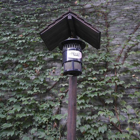 2015老板娘很热情,到车站接了我们_嘉兴评论