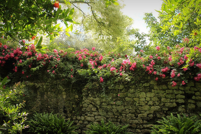 在意大利的那些日子_米兰旅游攻略