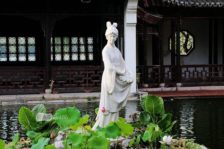 2016夏日游玩莫愁湖,最大的收获就是赏荷_莫