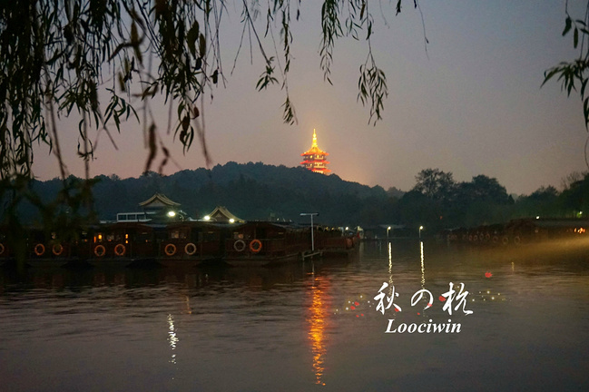 因为一片枫叶,而爱上深秋的杭州-旅游分享-E都市 ...