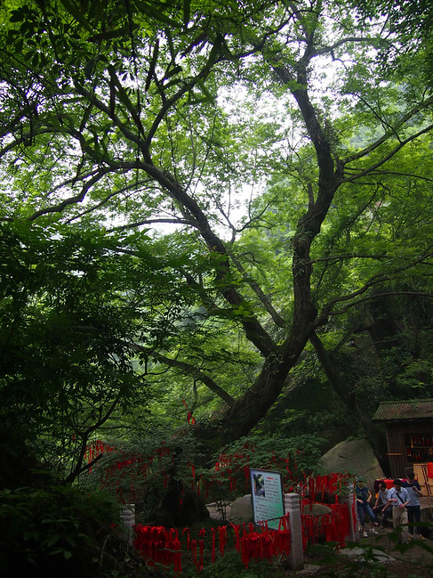 九华天池1日游_池州旅游攻略