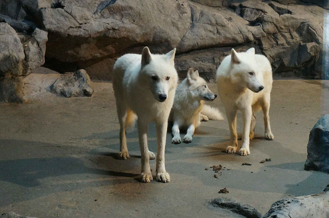 2015年9月,珠海长隆海洋王国_珠海旅游攻略