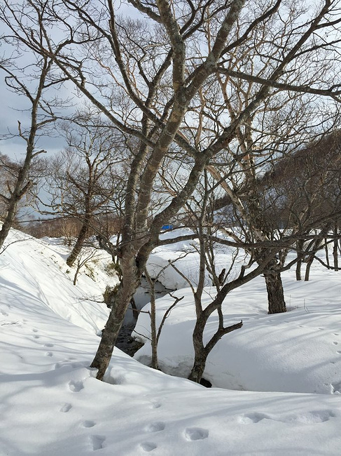 日本南来北往之旅--富士山北海道_东京旅游攻