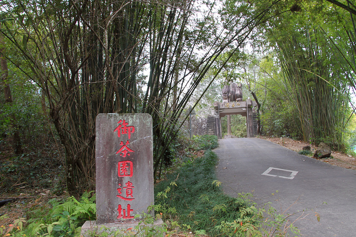 2019御茶园游玩攻略,御茶园遗址,两次游武夷山都. 【去哪儿攻略】