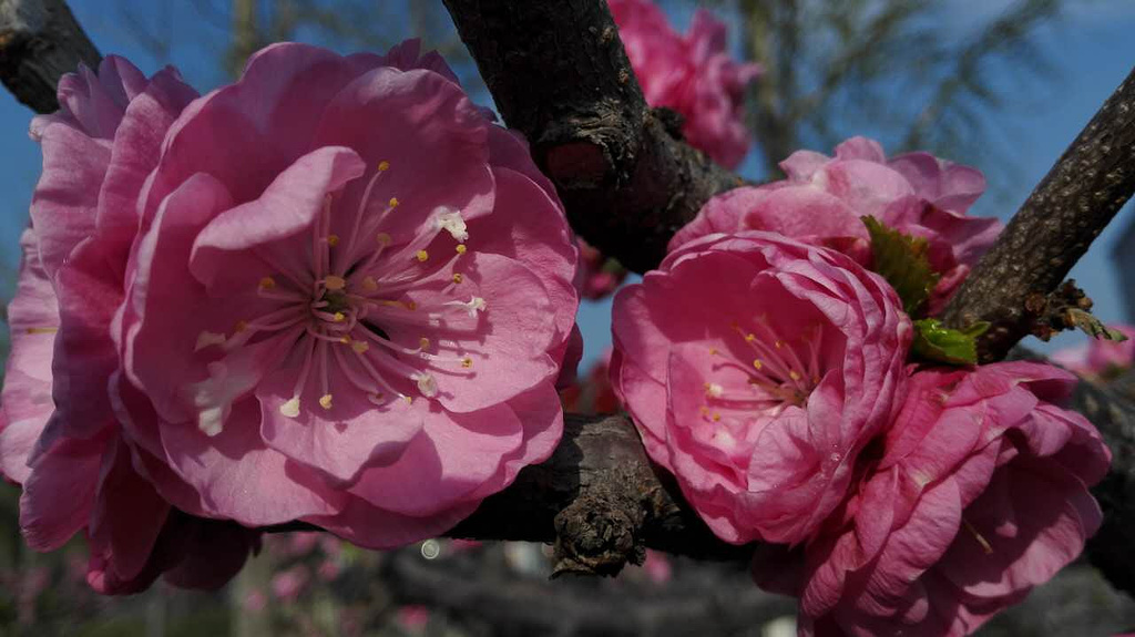 2015老冯烤羊蝎子馆(北土城店)_旅游攻略_门票