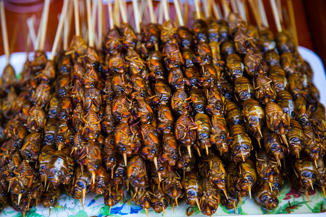 围绕古都的美景--西安周边游_西安旅游攻略