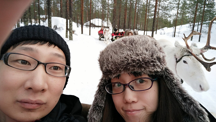 2015到达lapland Safari开始罗瓦._罗瓦涅米评