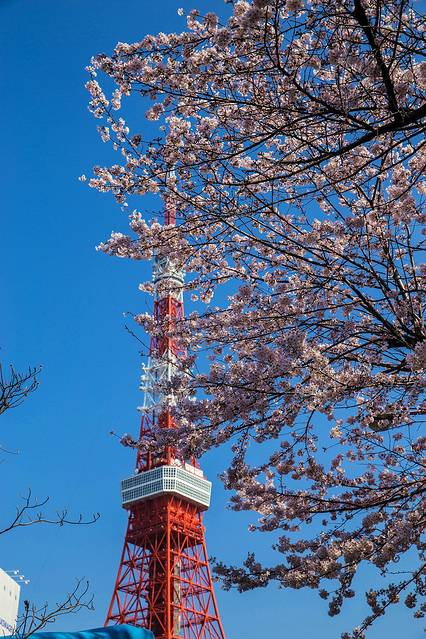  之后决定顺着大江户线赤羽桥站去看看白天的东京塔