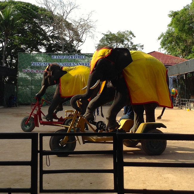 独立视角泰印象_芭堤雅旅游攻略