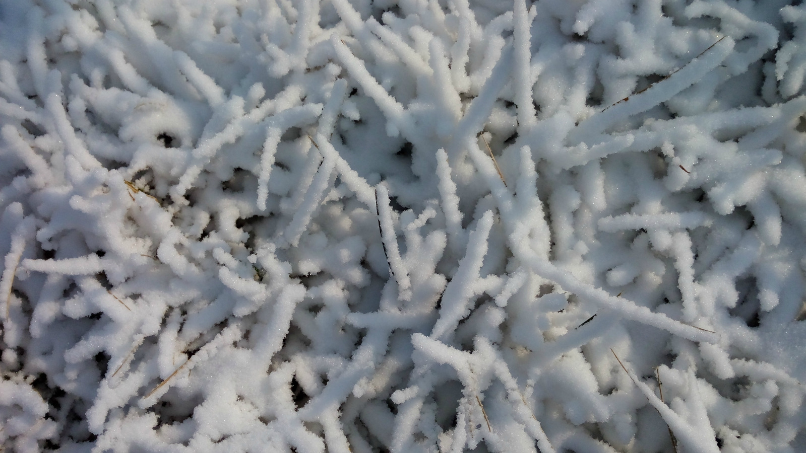 独自的旅行——徐州大景山滑雪