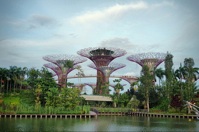 新加坡滨海湾花园,滨海湾金沙空中花园,新加坡滨海湾花园游记(第12页)_大山谷图库