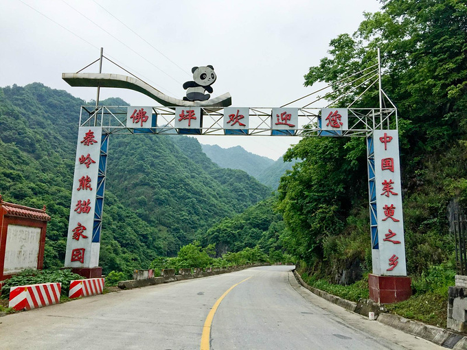 马召镇-秦岭-佛坪县轨迹空之图片fc完美流程攻略图片