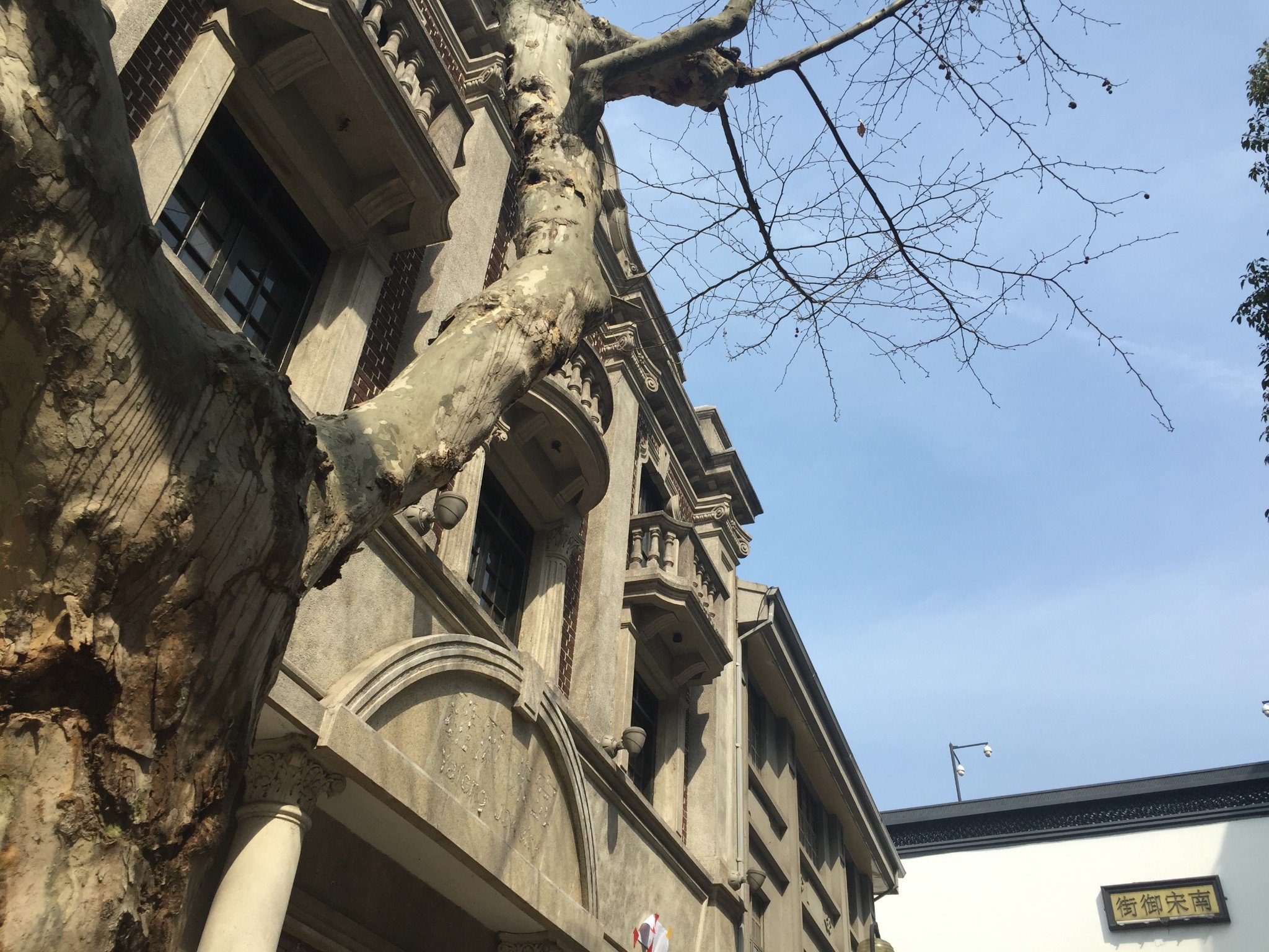 【周末去杭州】感受南方的春天，遇见王澍