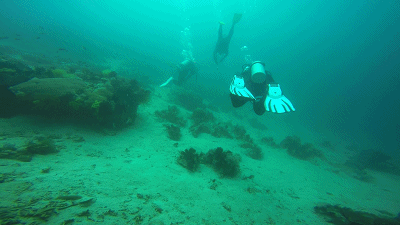 不如与我一起仗剑走天涯——2017菲律宾pg潜水刷瓶记