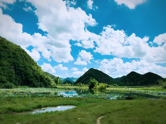 普者黑天鹅湖景区风景照