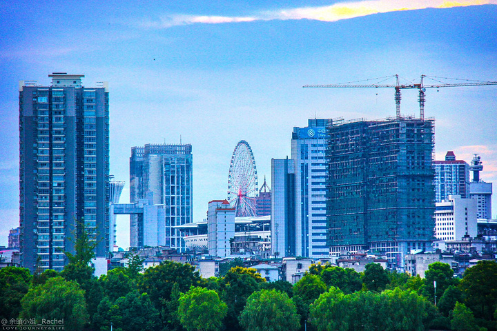 门票:免费 开放时间:全天 地址: 长沙市区的湘江中心,橘林成片,风光清