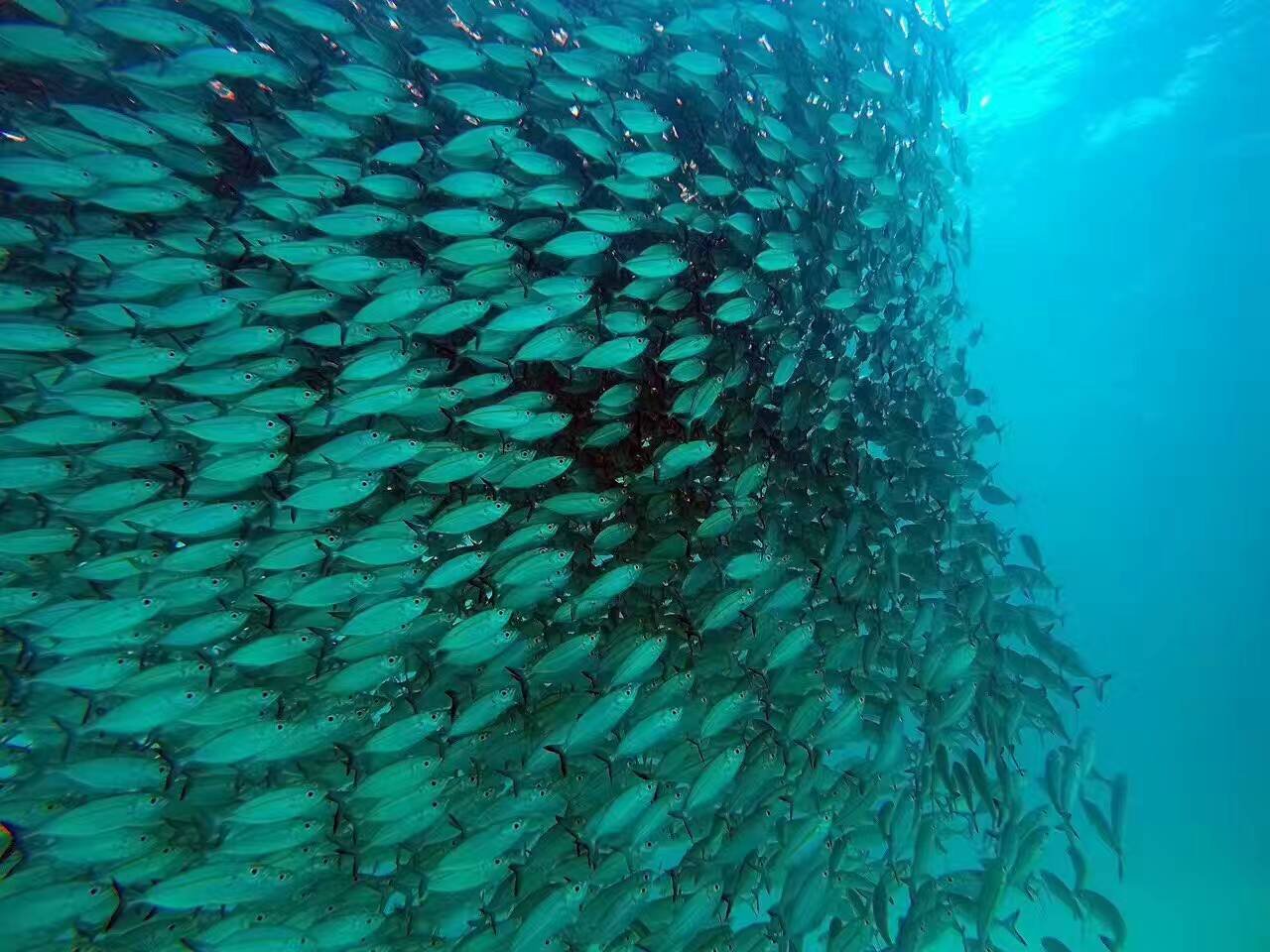 在帕劳感受慢生活的节奏