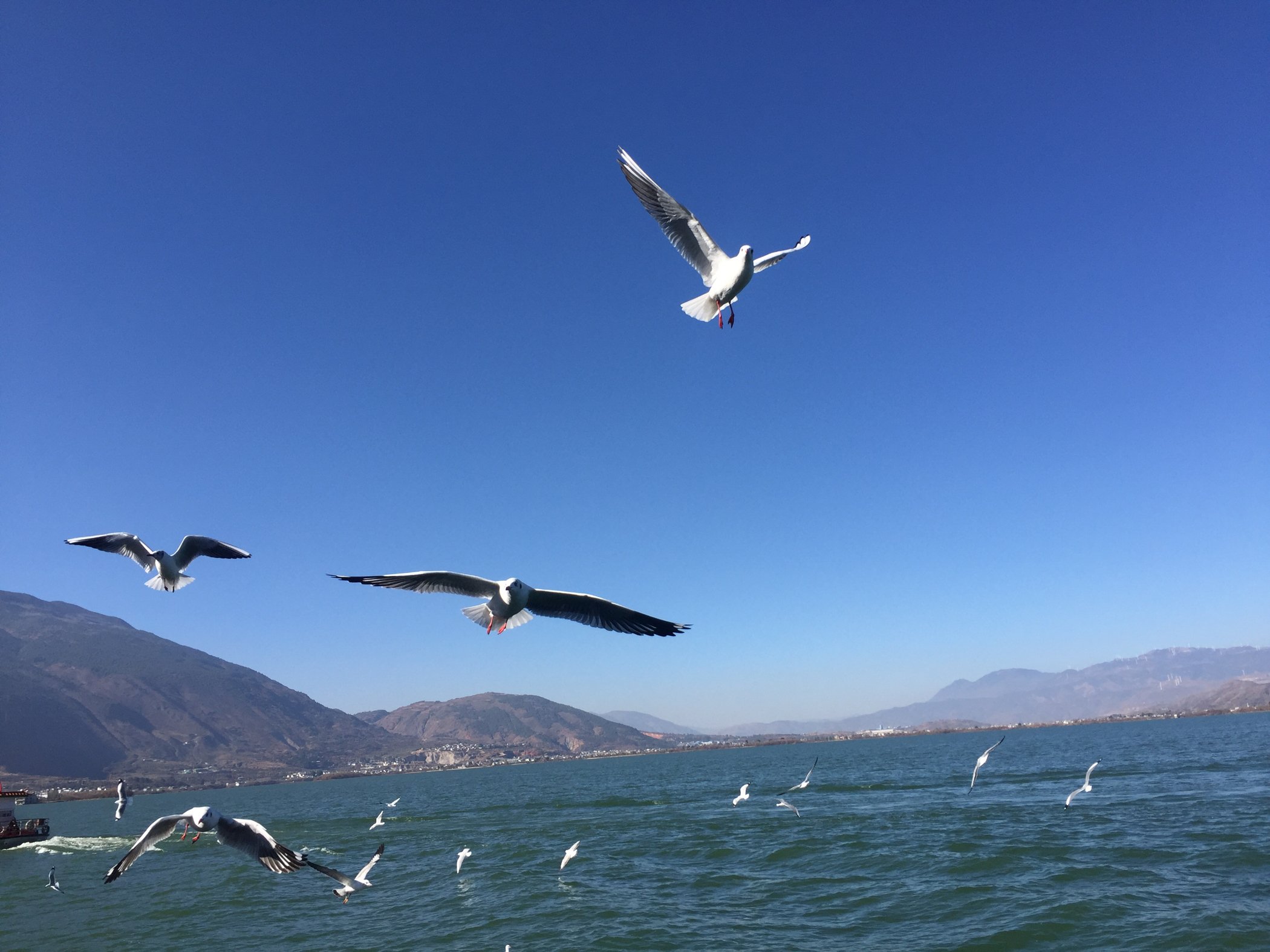 云南昆明丽江一场马拉松引起的大理之旅-大理玩法游戏抖翁游戏民间图片