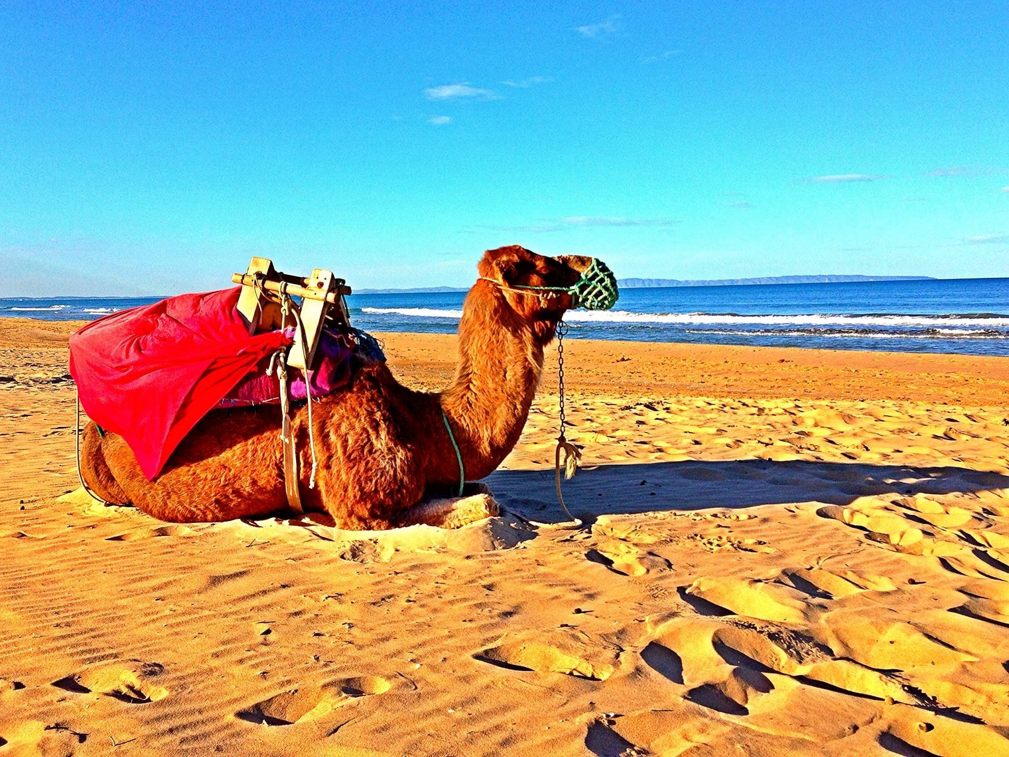 不输摩洛哥的美景!接近东南亚的物价!中国公民