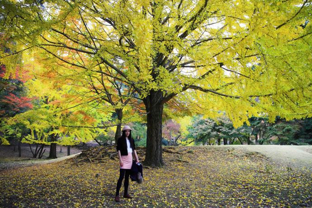 2014傍边还有一条很长的石台阶_东大寺评论 