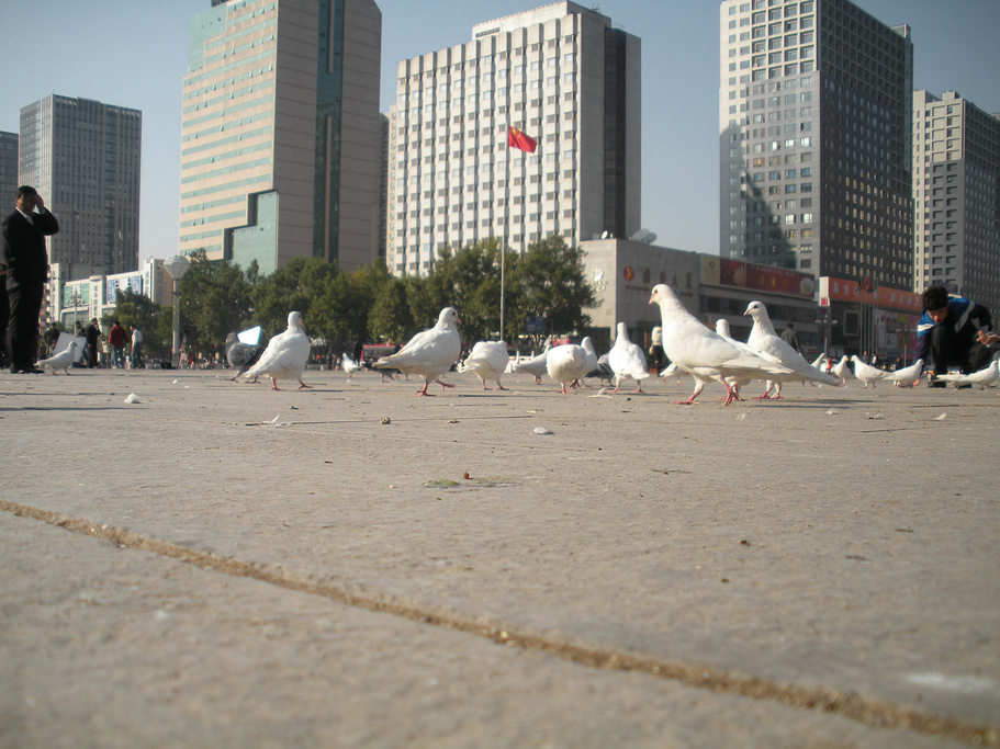 2014河北省博物馆_旅游攻略_门票_地址_游记