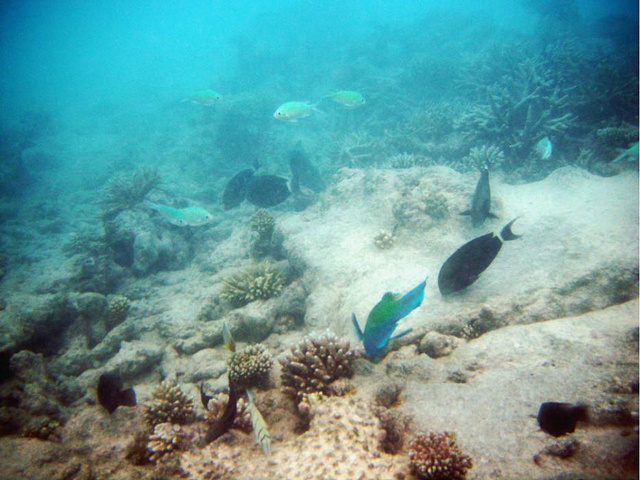 2016AYADA的水屋,配得上各种溢美之词_马尔