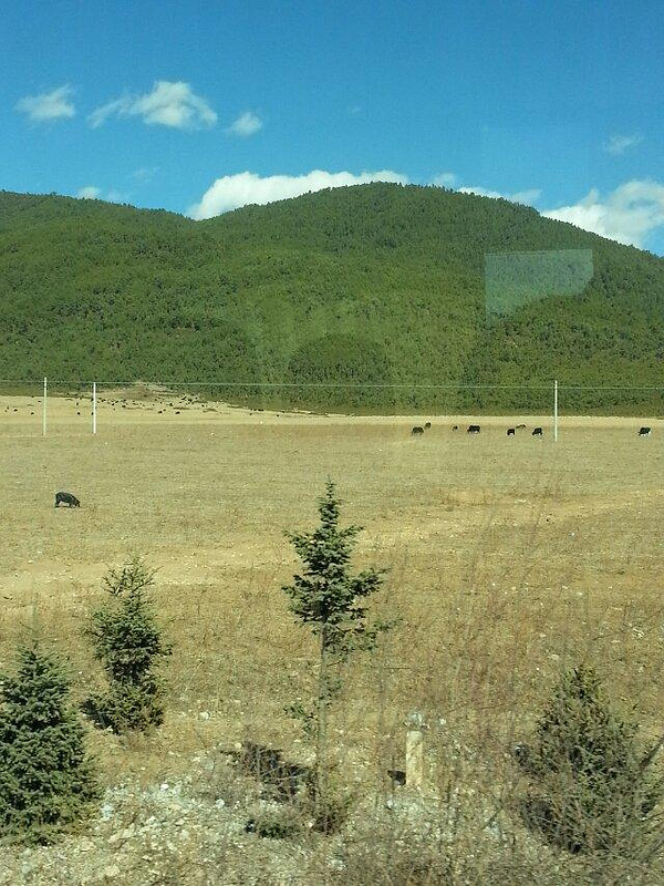 丽江香格里拉行_丽江旅游攻略_自助游攻略_去