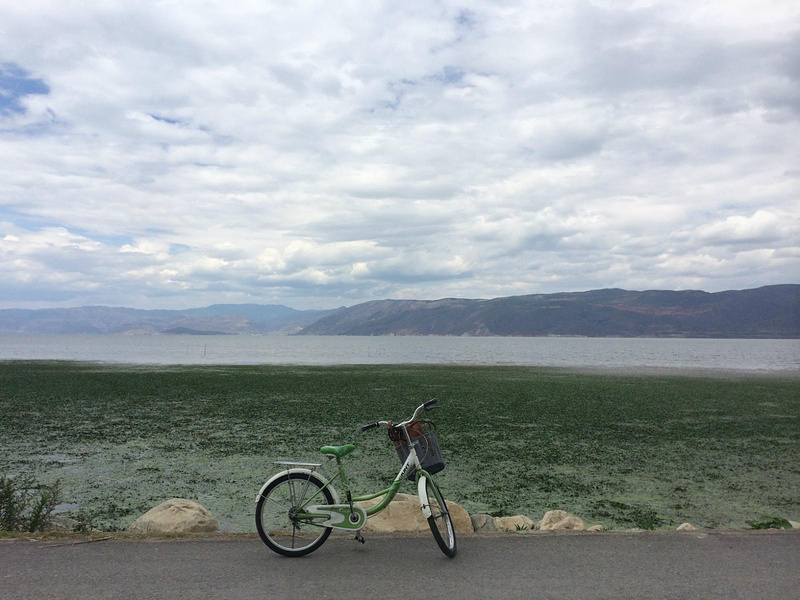 一个人的大理_大理旅游攻略_自助游攻略_去哪