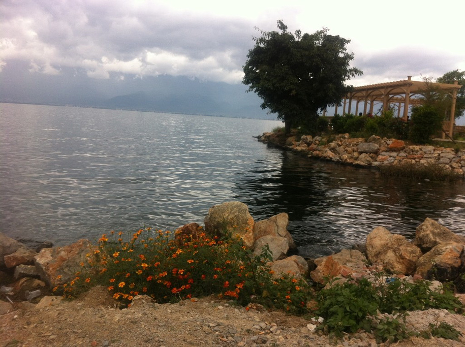 2014晚上苏苏同事一起晚餐, 嫂嫂厨艺不错_挖