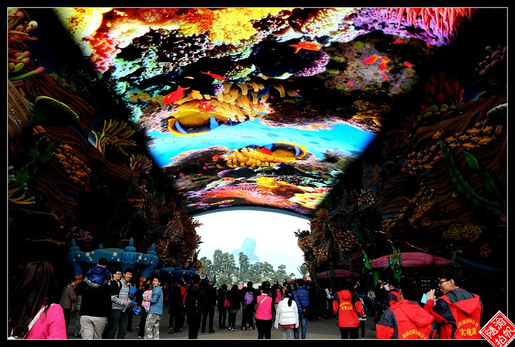 2018 很小的时候便知道中国沿海城市中,有三个