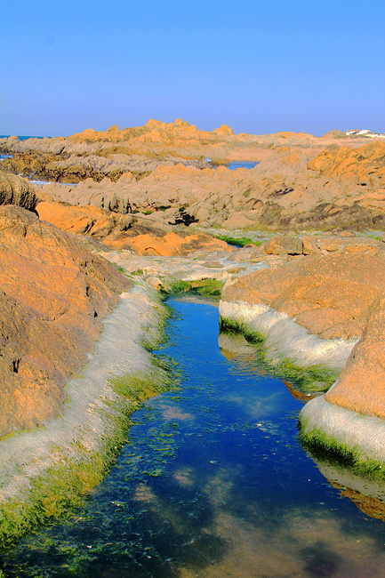 里斯本,一个精致的小城_里斯本旅游攻略
