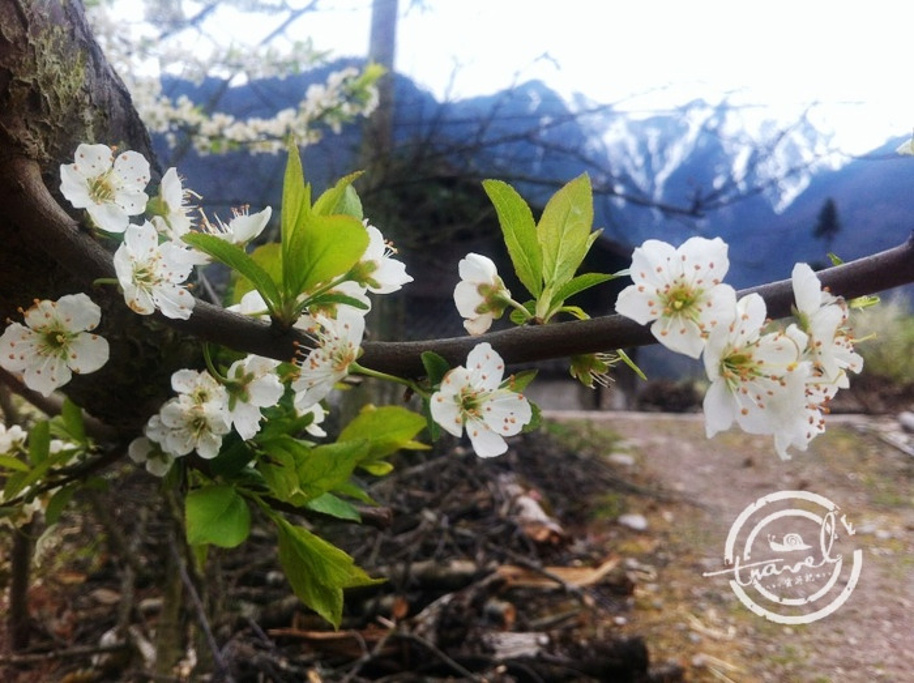 20154月6日早上6点,我和大叔准时出现在集合