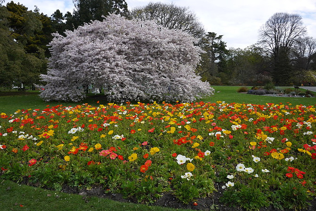 新西兰南北岛12日自驾全攻略_皇后镇旅游攻略