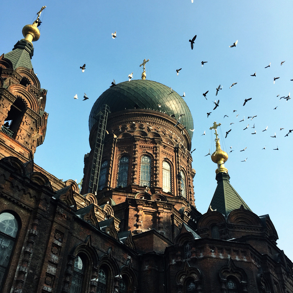 哈尔滨三天两晚吃货行_哈尔滨旅游攻略