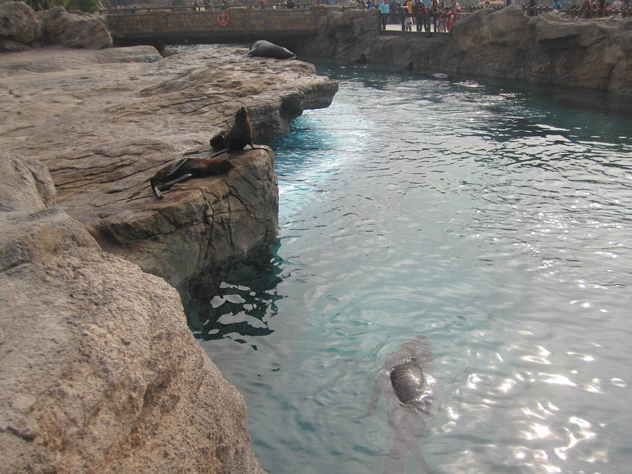 2015第三天早上八点准时出发,直接在高铁站旁